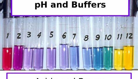 Ph Of Buffer Solution Pdf CommonIon Effect And s PDF