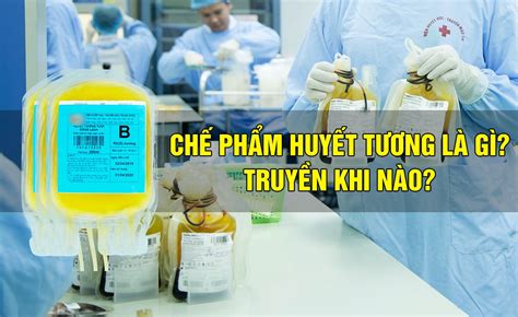 phần biệt huyết thanh và huyết tương sinh 8