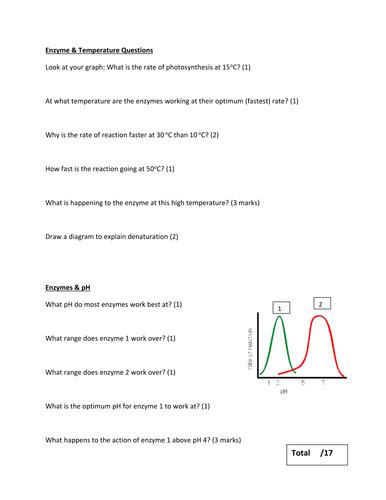 Ph And Enzyme Activity Answer Key