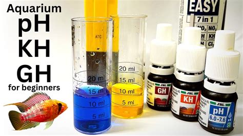 Ph And Kh Testing