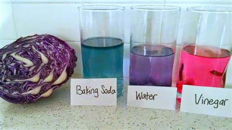 Ph Lab With Red Cabbage