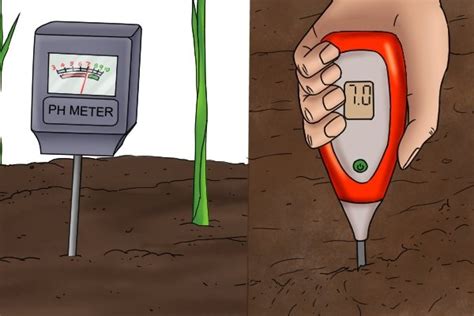 Ph Meter Work In Soil