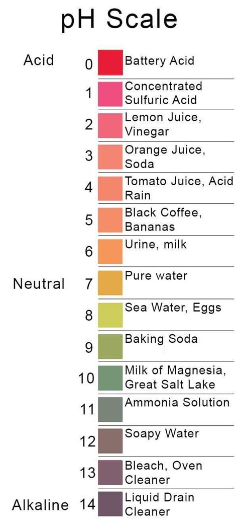 Ph Scale Basics Virtual Lab Answer Key