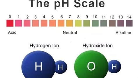 pH Adalah Derajat Keasaman, Alat Pengukur, Indikator, Satuan, dan Arti