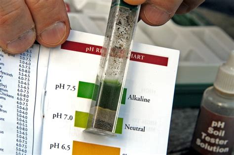 Ph Soil Test Results