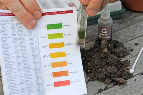 Ph Test Garden Soil