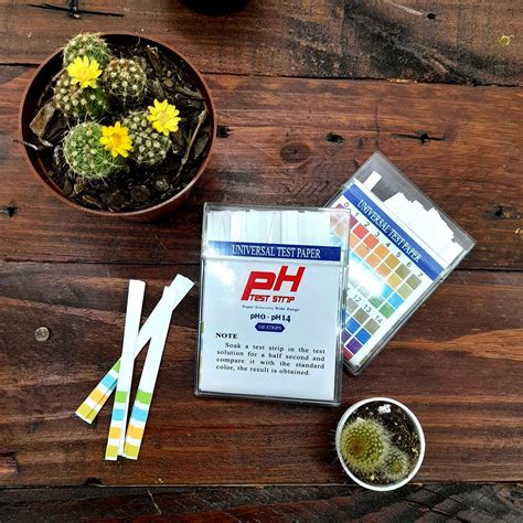 Ph Test Strip Instructions