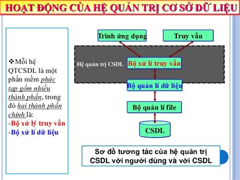 phan mem co so du lieu