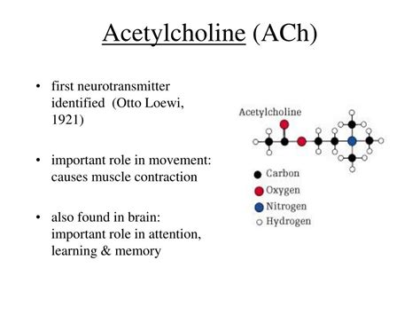 pharmacology of acetylcholine slideshare