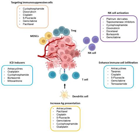 phenergan chemotherapy or immunotherapy