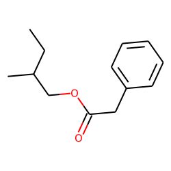 phenylacetic acid 2-methylbutyl ester