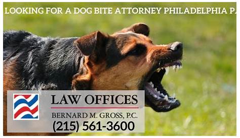 Philadelphia Dog Bite Injury Lawyer Cooper, Schall & Levy
