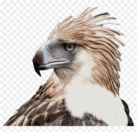 philippine eagle logo png