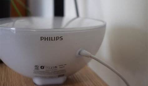 Philips Hue Go Charger