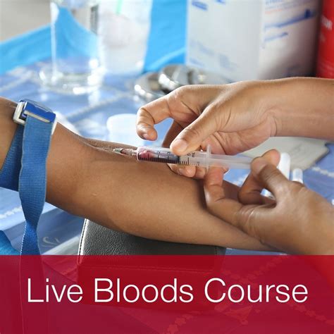phlebotomy online classes columbia sc