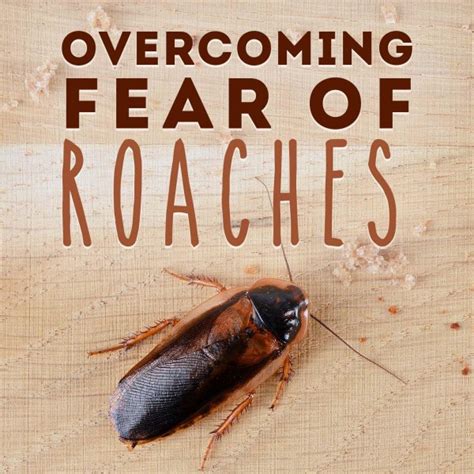 Mastering Phobia to Roaches: Proven Strategies