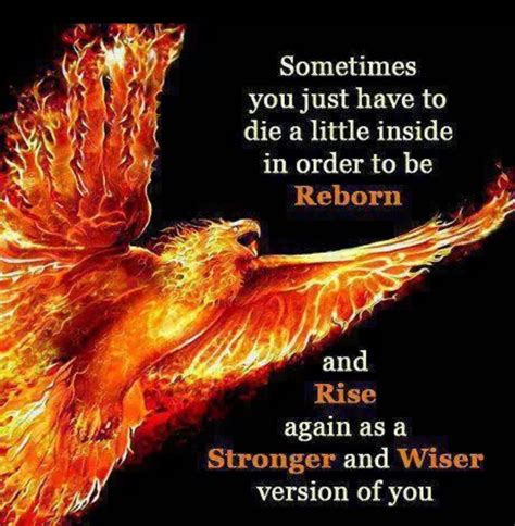 phoenix bird quotes about renewal
