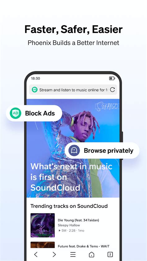Phoenix Browser Which Country App