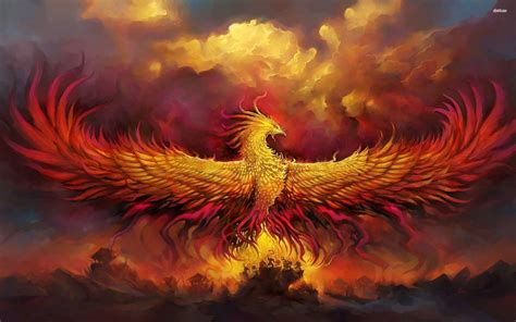phoenix rising