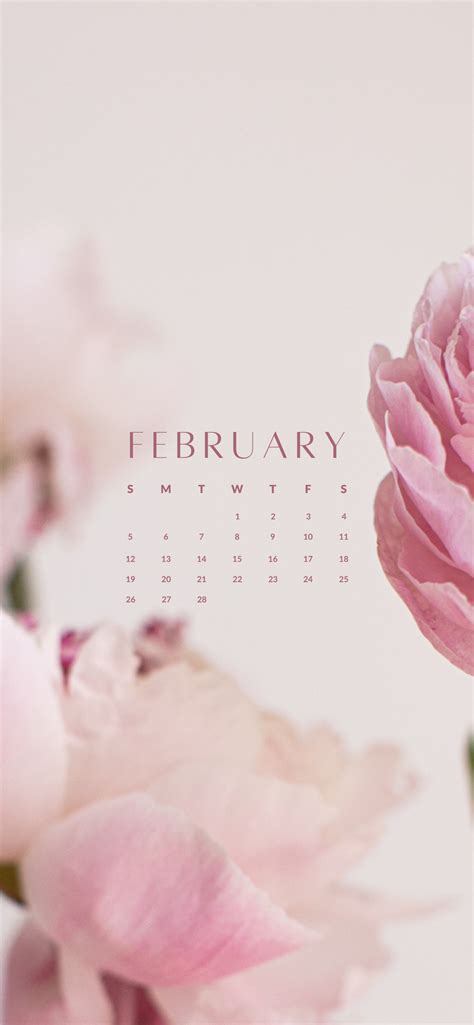 phone february