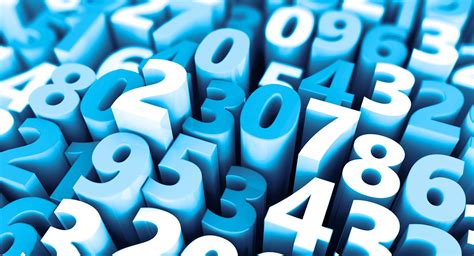 Phone Number For Pool Pro