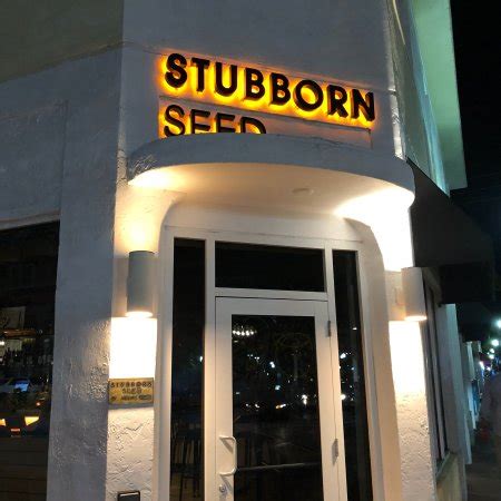 phone number for stubborn seed miami