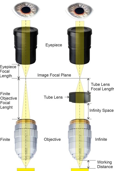 Phono Stylus Microscope