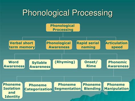 phonological processing vs auditory processing