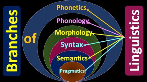 phonology morphology syntax semantics and pragmatics are components of