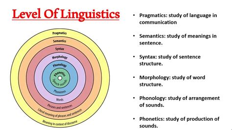 phonology morphology syntax semantics and pragmatics pdf