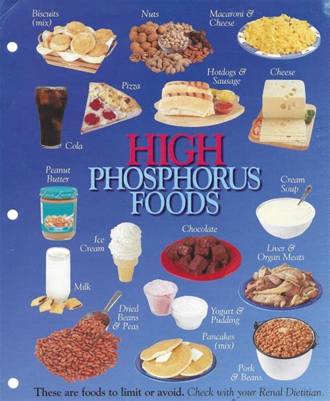 Limiting Phosphorus: Top Foods to Avoid for Healthy Kidneys