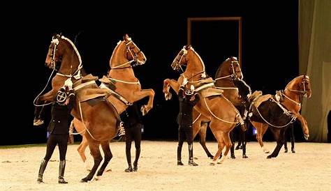 Photo Cadre Noir Saumur Le De , L'équitation D'excellence Val