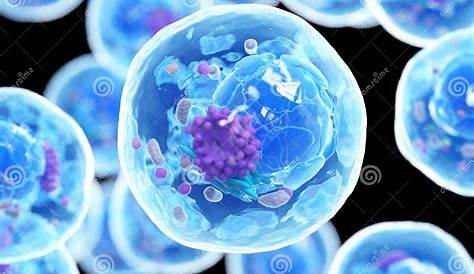 Photo Cellule Humaine Avec Des Chromosomes Illustration Stock