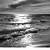 photo de la mer en noir et blanc