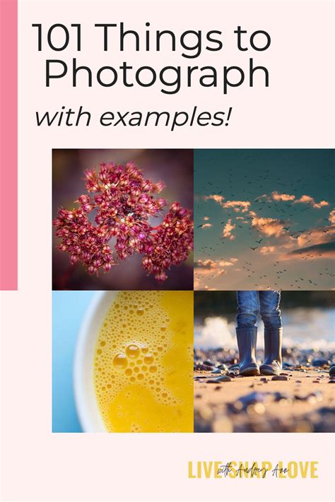 Photograph Is An Example Of