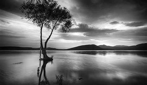 Fond d'écran paysage, Monochrome, Lac, eau, la nature