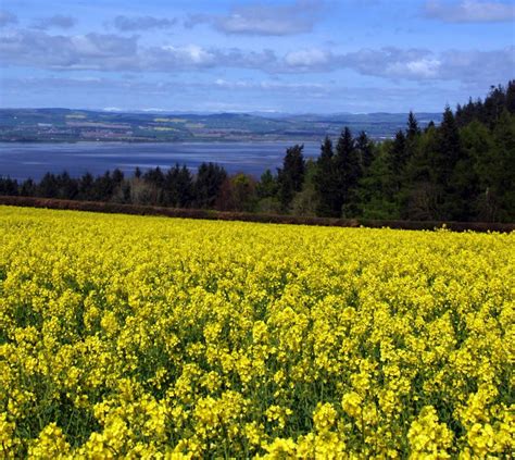 photographs of fields