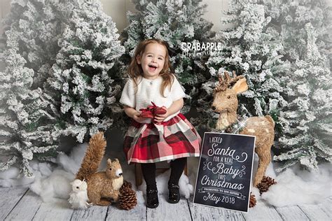 Capture The Christmas Spirit Near You With Professional Photography