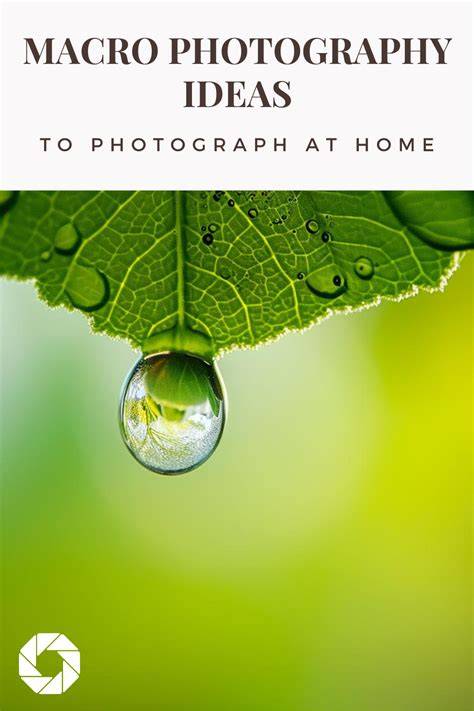 photography tips collection ideas tutorial ideas examples inspiration