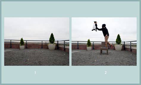 photography tips design tutorial design tutorial examples tutorial tutorial tutorial guide