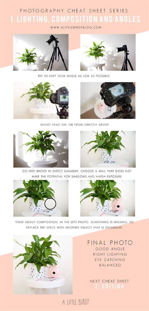 photography tips diy tutorial tutorial diy examples tips examples