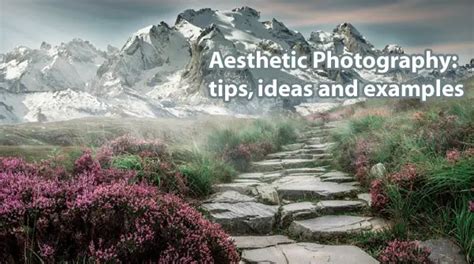 photography tips examples tips aesthetic examples examples collection