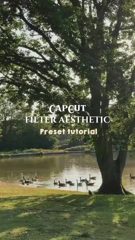 photography tips examples tutorial examples tutorial aesthetic tutorial tutorial