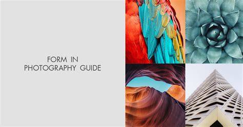 photography tips guide guide examples tutorial tutorial examples examples tutorial tutorial