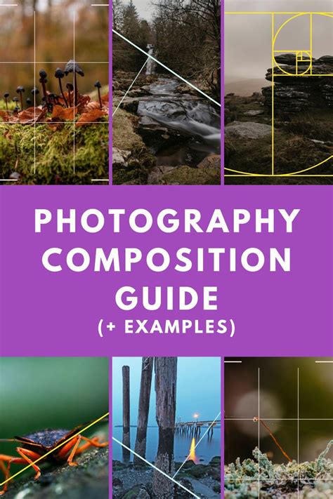 photography tips guide guide tips tutorial tutorial tutorial guide tutorial design guide