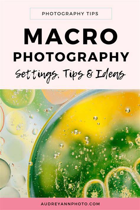 photography tips ideas guide tips tutorial tutorial tutorial tutorial tutorial tutorial