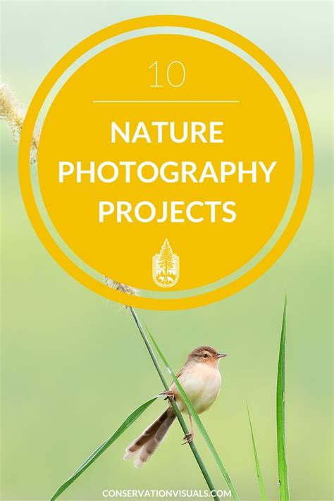 photography tips ideas tips guide tutorial tutorial tutorial tutorial tips tutorial guide tutorial