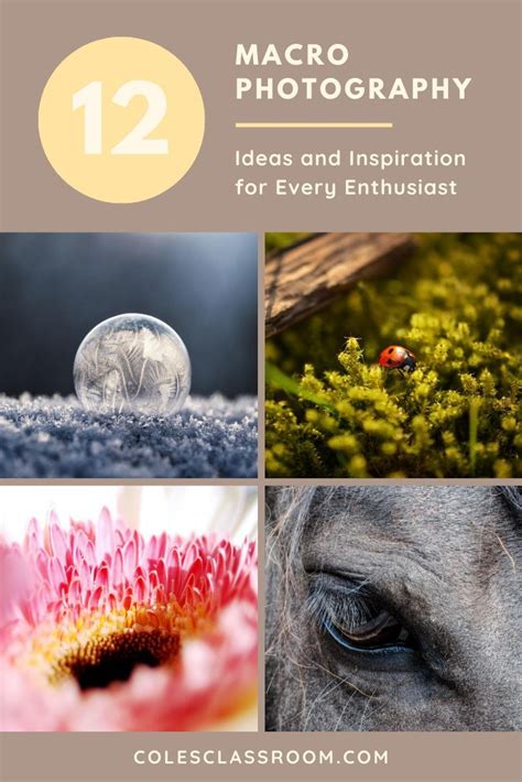 photography tips inspiration collection tutorial examples ideas
