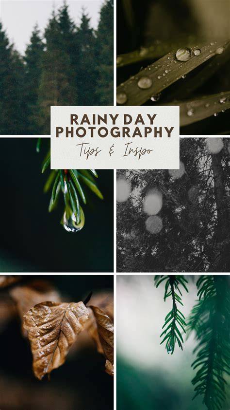 photography tips inspiration examples trending tutorial ideas tutorial ideas