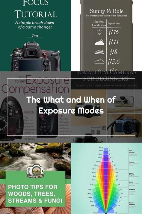 photography tips style trending tutorial tutorial tutorial guide